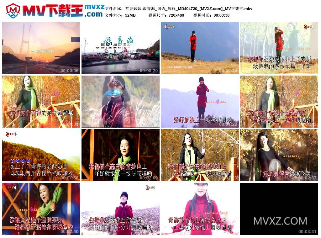 苹果妹妹-浪青海_国语_流行_MD404720